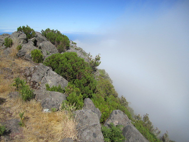 Madeira 2010 0616