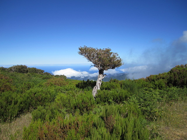 Madeira 2010 0643