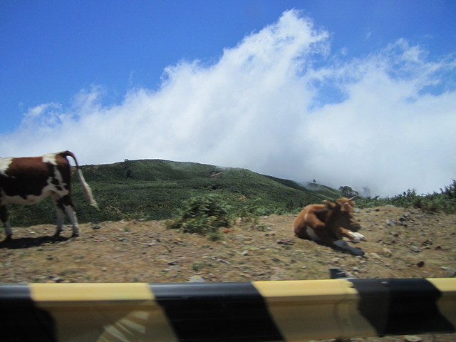 Madeira 2010 0672