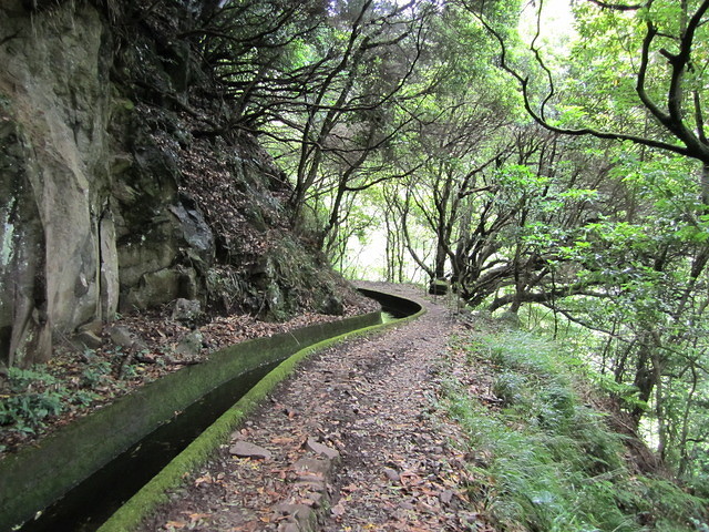 Madeira 2010 0704