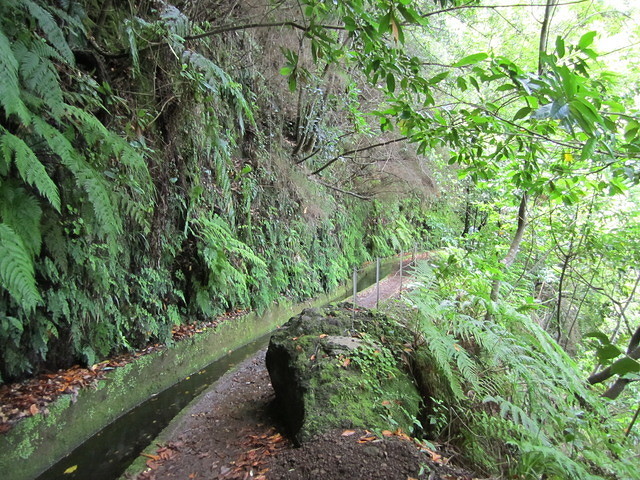 Madeira 2010 0727