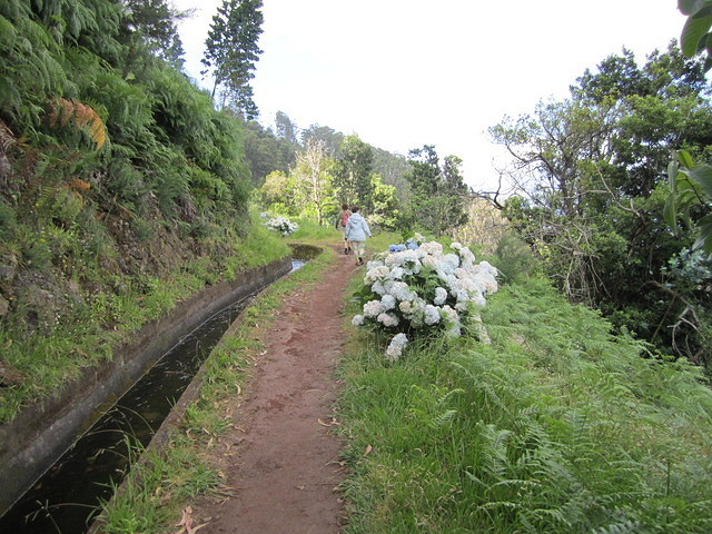 Madeira 2010 0732