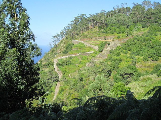 Madeira 2010 0755