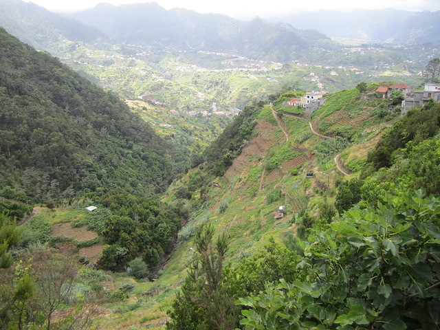 Madeira 2010 0834