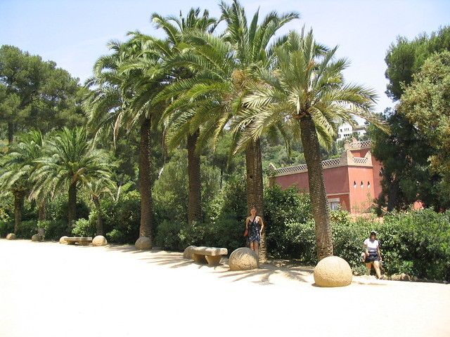 21 Palm trees in Parc Guell