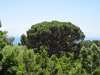 Madeira 2010 0092