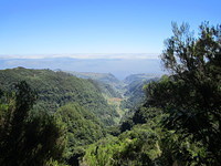 Madeira 2010 0404