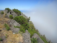 Madeira 2010 0616