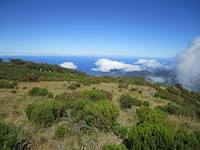 Madeira 2010 0640