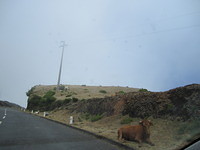 Madeira 2010 0673