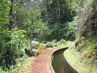 Madeira 2010 0685