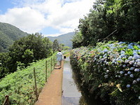 Madeira 2010 0698