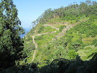 Madeira 2010 0755