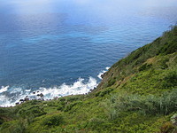 Madeira 2010 0828