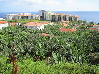 Madeira 2010 0851