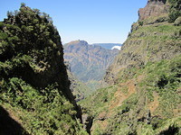 Madeira 2010 0986