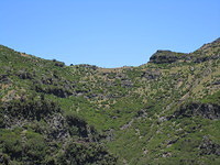 Madeira 2010 1030